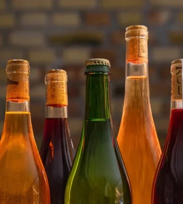 Saft - Uds&oslash;gt og raffineret